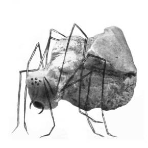 Photogravure and etching by Clara Catalan